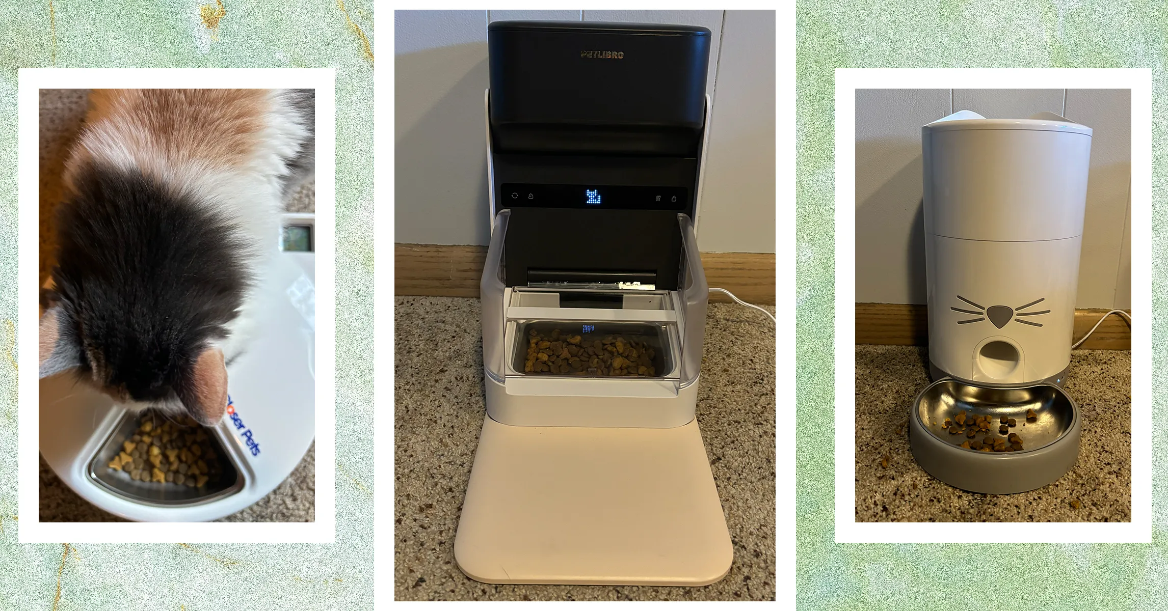 Automatic Feeders for Cats: Are They Worth It?