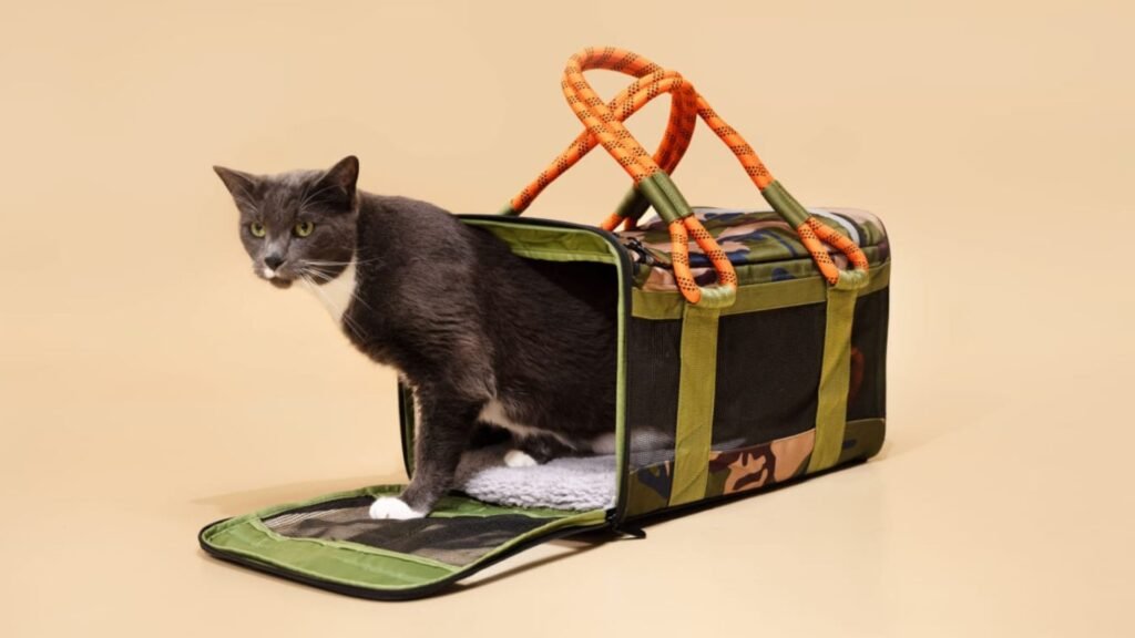 Best Cat Carriers for Travel