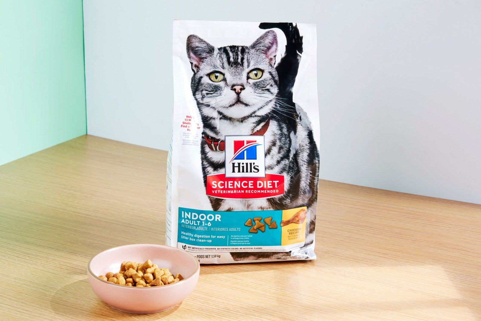 Best Cat Food Brands for All Breeds