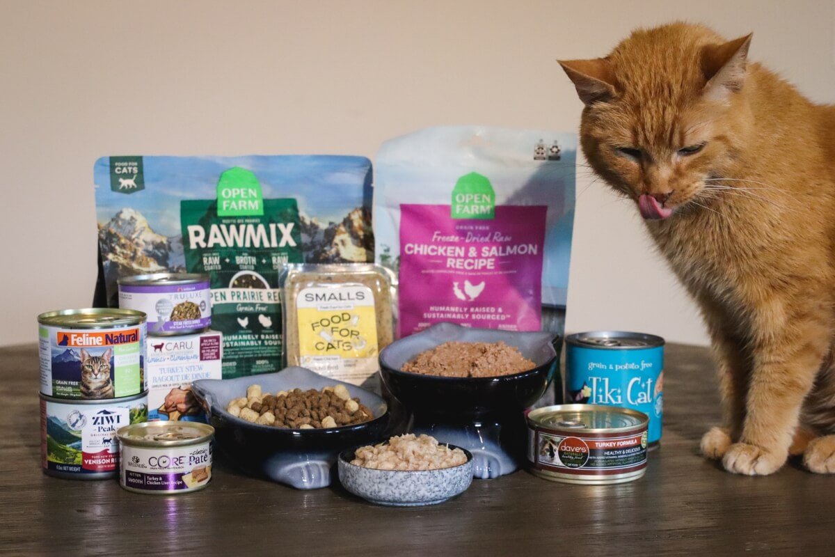 Best Cat Food Brands for All Breeds