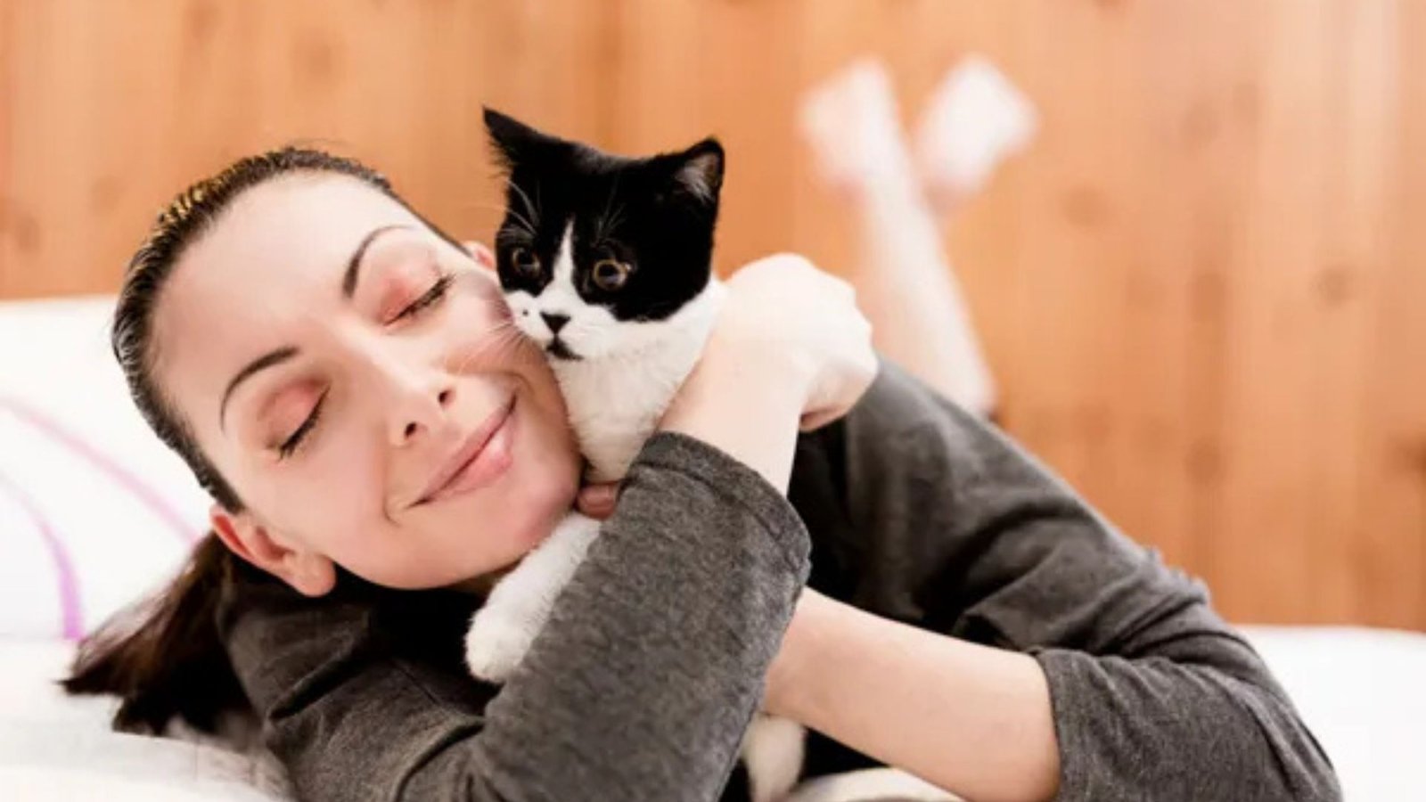 How Cats Help With Stress And Anxiety