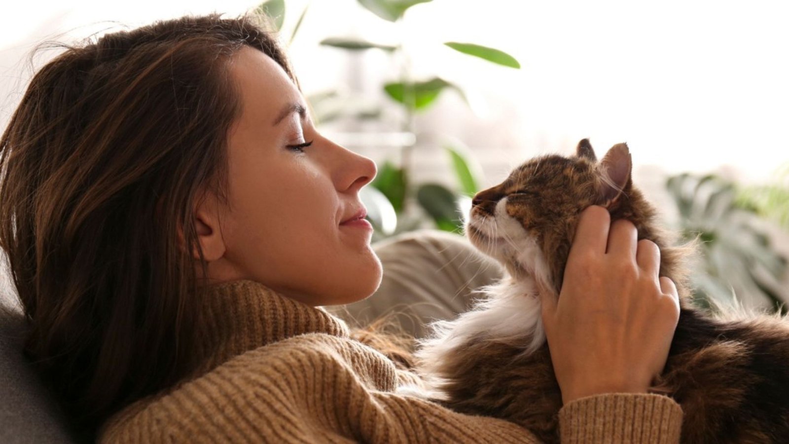 How Cats Help With Stress And Anxiety