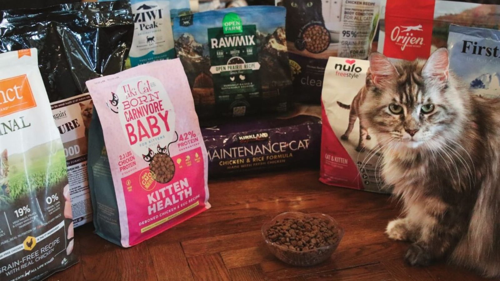 How To Choose Healthy Cat Food Brands