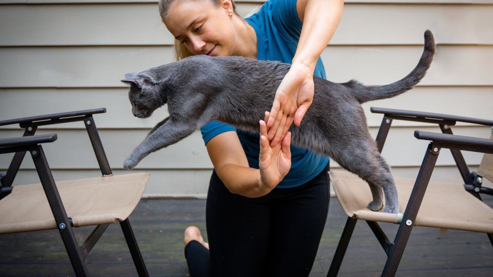 How To Use Cat Accessories For Training