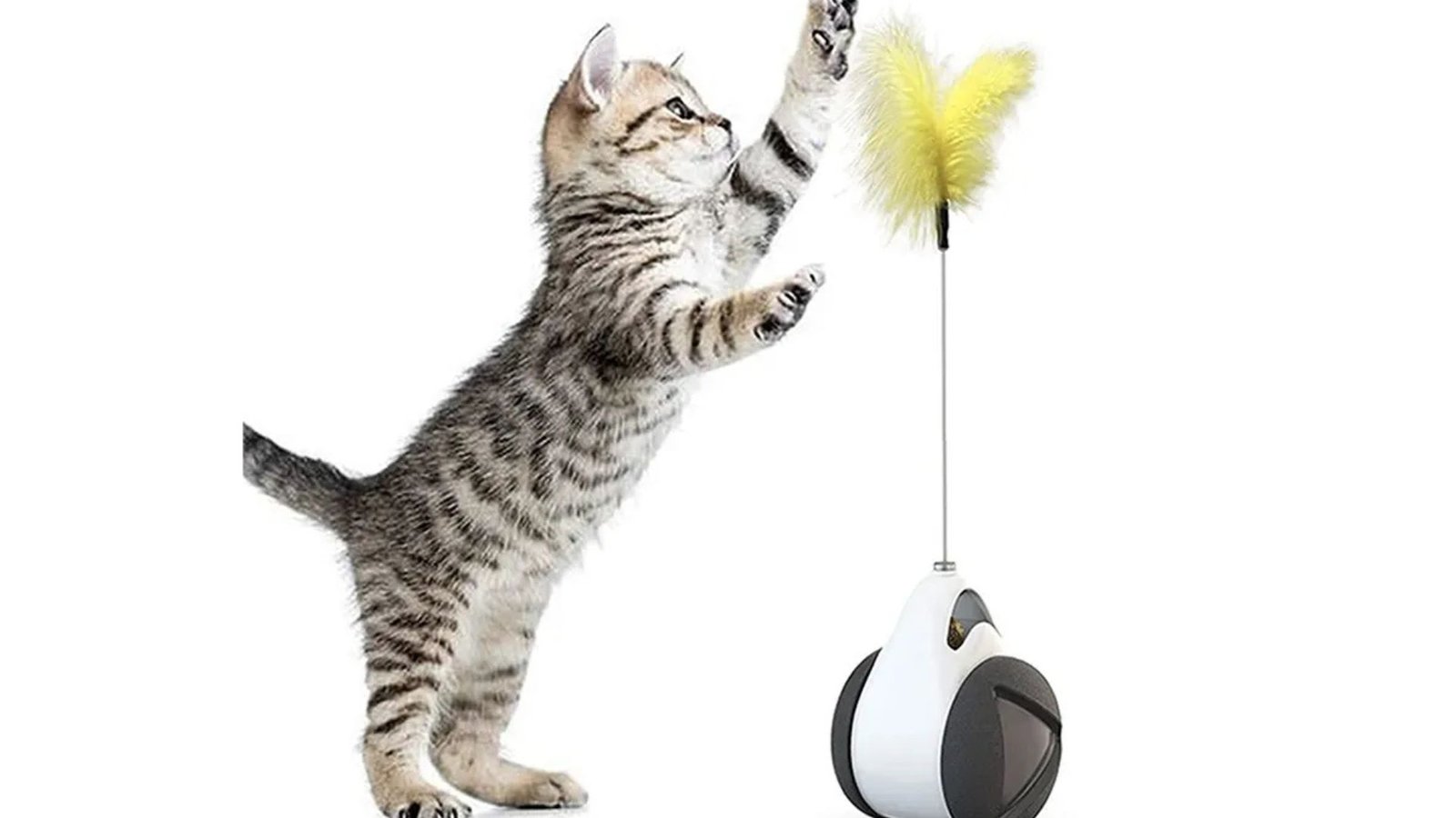 Interactive Toys to Keep Your Cat Entertained