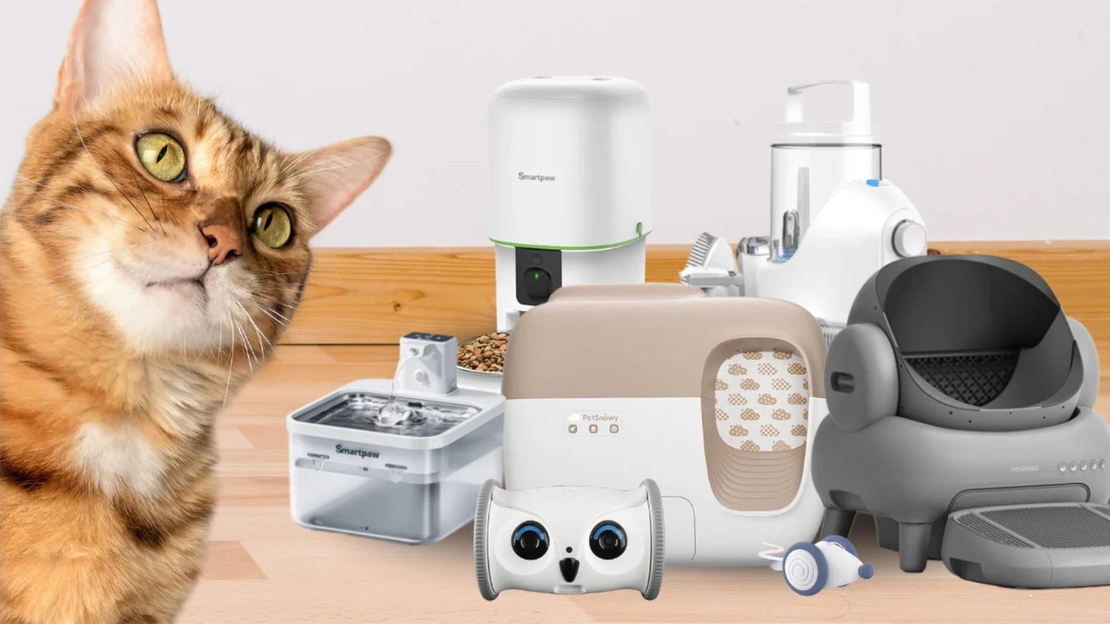 Smart Gadgets for Cats: A Tech-Savvy Guide