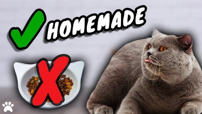 The Benefits of Homemade Cat Food: Is It Worth It?