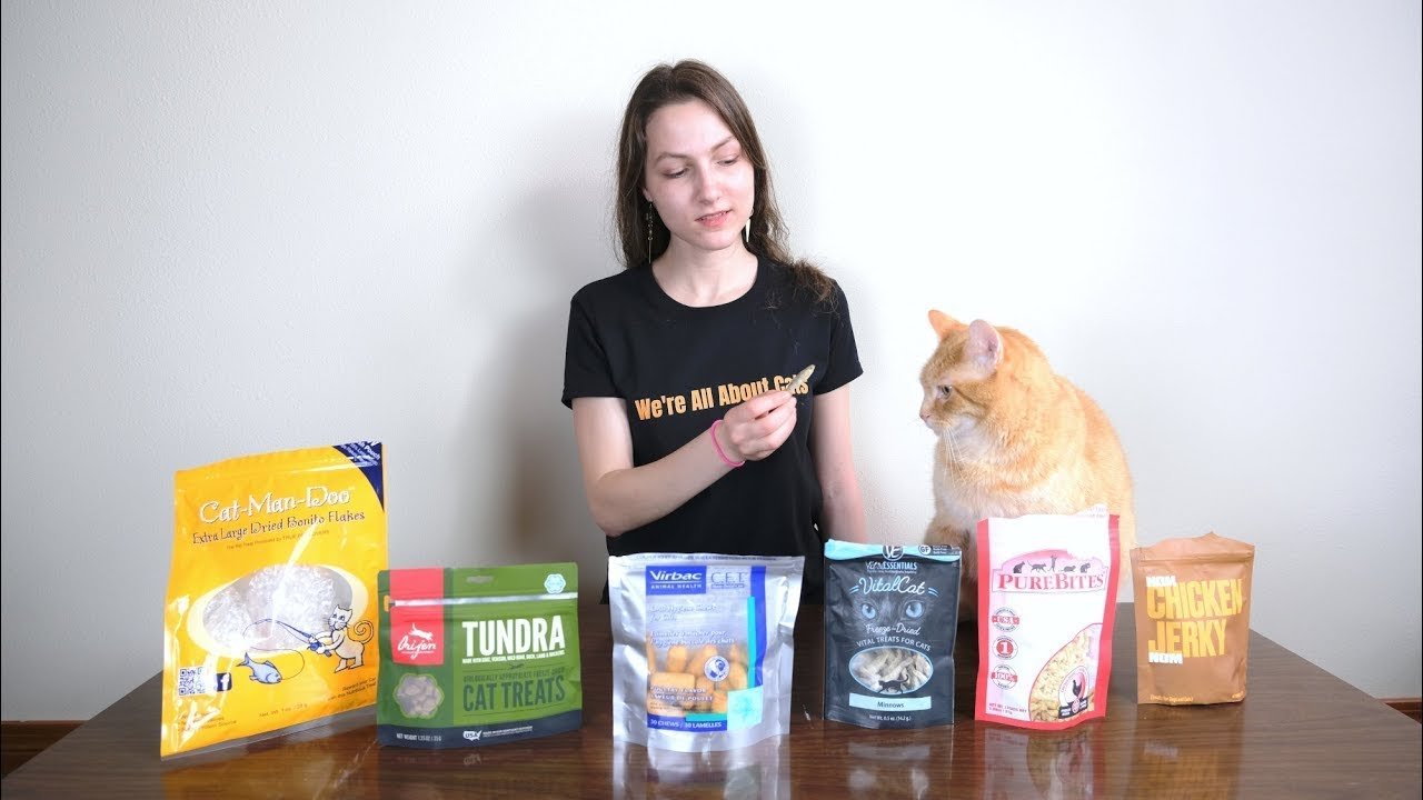 Top Healthy Snacks for Cats