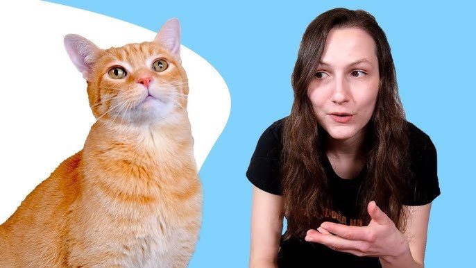 Top Traits of Male Cats You Should Know