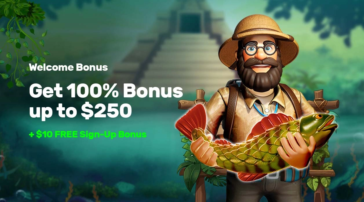 The Pokies: A Premier Review of Australia’s Elite Real Money Casino